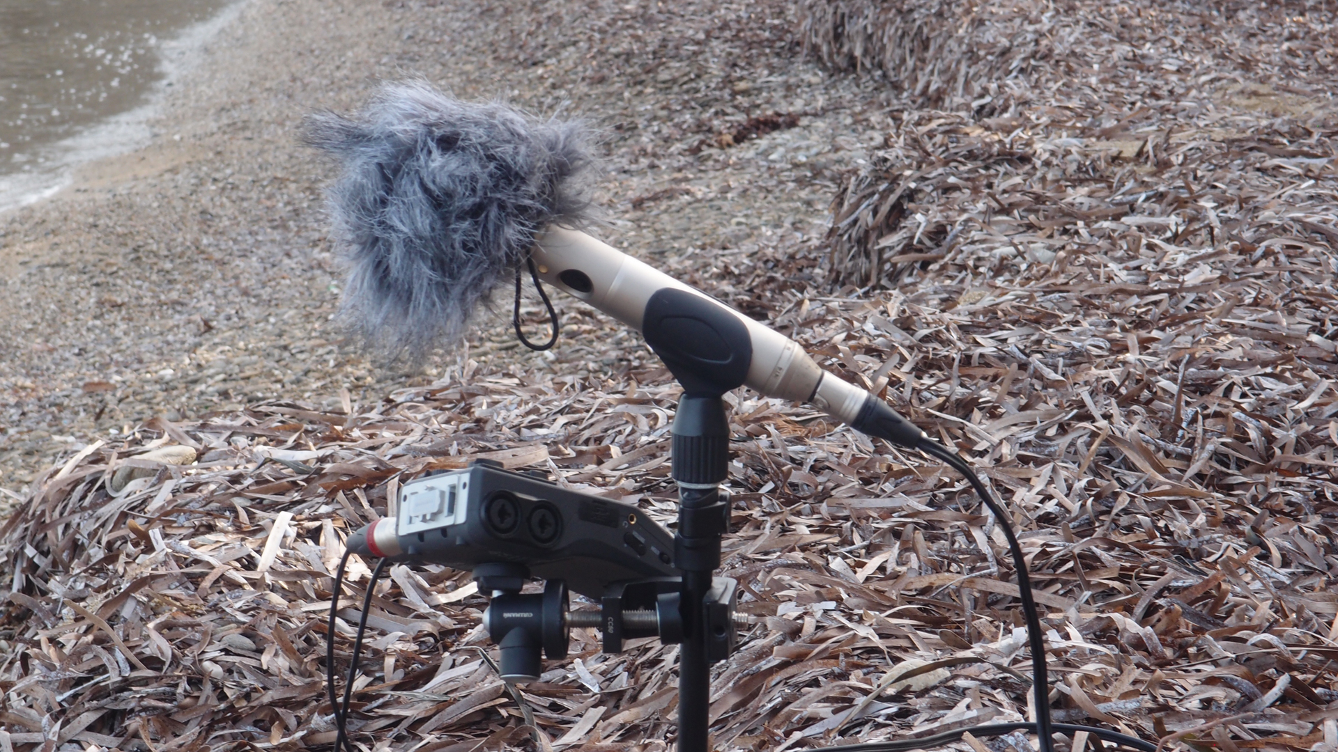 2021-09-18 01 am Hausstrand (Fieldrecording, Foto, Video)